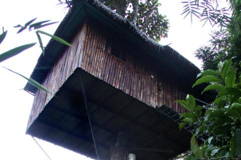 Coffee Acres Plantation Resort Kalpetta Bilik gambar